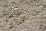 220829A-173808-00471