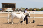 SBM_17664