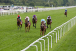 170524-Race 4-Giavellotto-2195