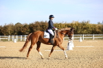 SBM_009066