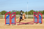 SBM_006682