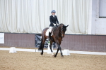 Class 6 - Novice 4 portfolio