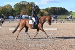 BPP_9384