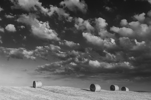 The cloud edges it way across the sky. A great day for the Farmer but thunder clouds are on their way.