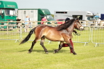 SBM_00447