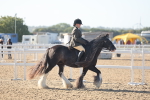 SBM_22203