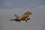 TYPHOON 14