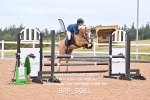 BPP_5981