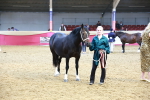 SBM_16861