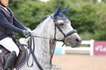 Cls 33 Foxhunter and 1.10m Open portfolio