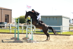 SBM_002080