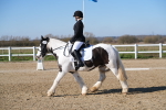 SBM_002008