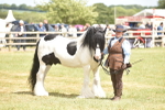 Class 117-122 - SSADL RIHS Qualifier portfolio