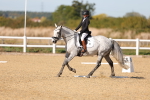 SBM_001521
