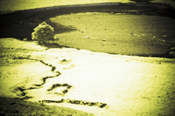 Infra Red portfolio