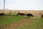 WJ6_9380