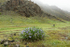 Yolyn Am valley