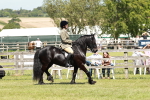 SBM_07030