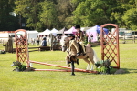 SBM_11248