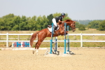 SBM_000603