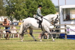 SBM_16091