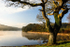 Penrose lake