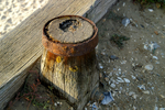 West Wittering - 08