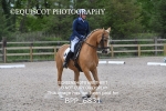 BPP_6831
