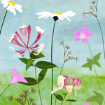 Honeysuckle