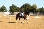 SBM_14204