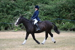 WJ7_1031