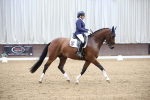 SBM_003464