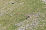 Duddon Long-221