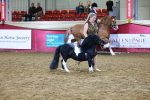 SBM_15242