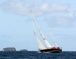 Zulu - DSC_0232
