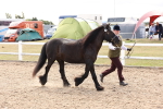 SBM_15081