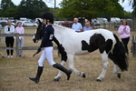 WJ6_8100