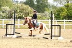 SBM_006466