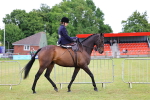 SBM_02710