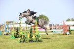 SBM_02930