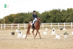 SBM_006803