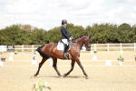 SBM_009904