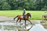 Theo's 1st Group - XC portfolio