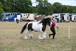 WJ6_5372