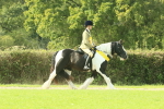 SBM_68998