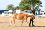 SBM_17639