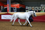 SBM_15999