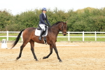 SBM_002935