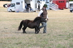 WJ6_6834