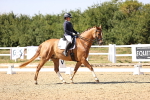SBM_006586